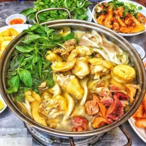 Lẩu Gà Lá É Tân Bình